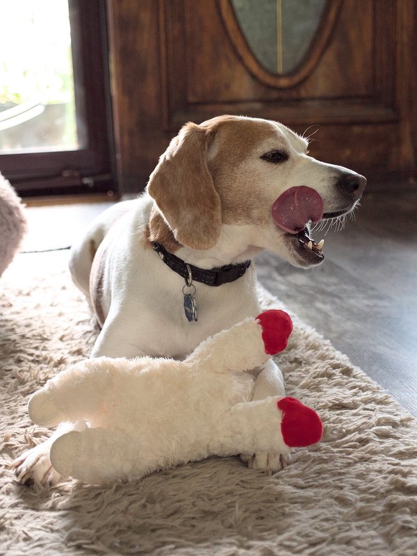 Licking his (lamb)chops Licking his (lamb)chops