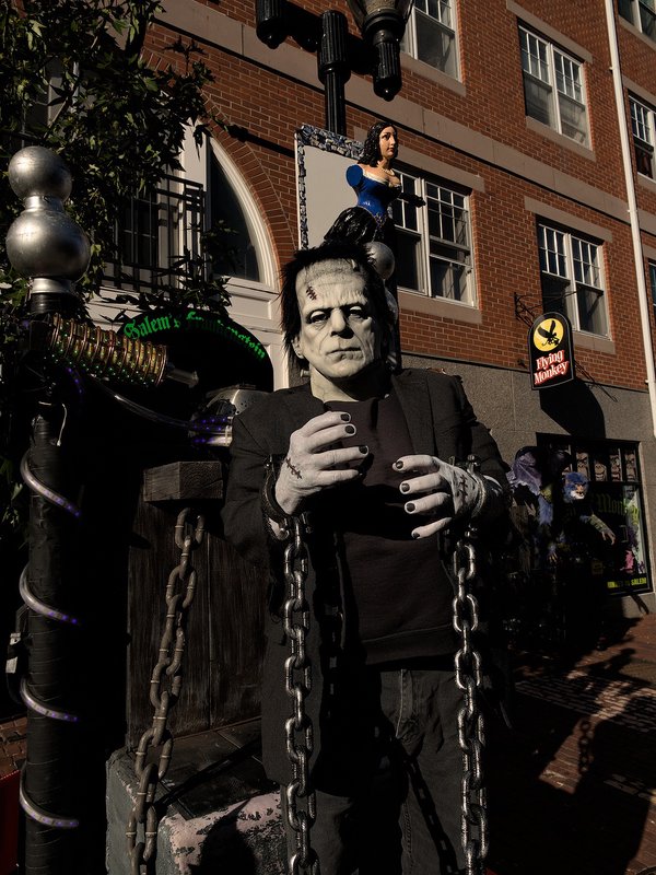 NO! I am Frankenstein’s Monster! Frankenstein was my creator! NO! I am Frankenstein’s Monster! Frankenstein was my creator!