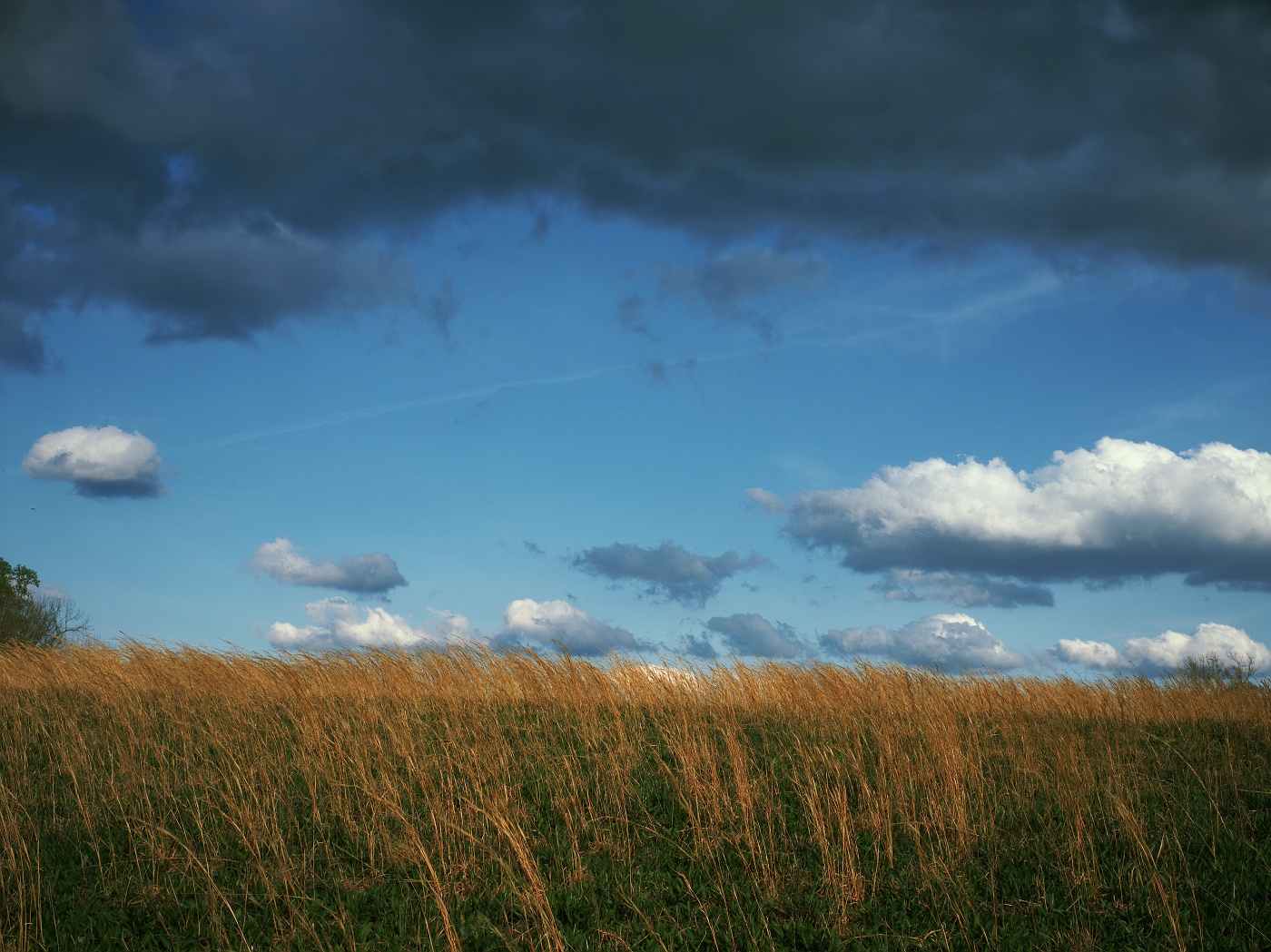 Layer Cake Landscape
