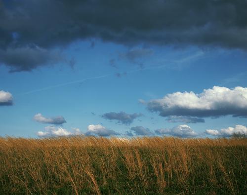 Layer Cake Landscape