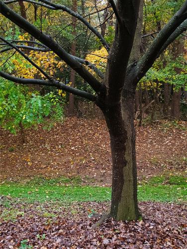 Outstretched Outstretched