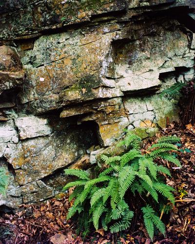 Rock Face Rock Face