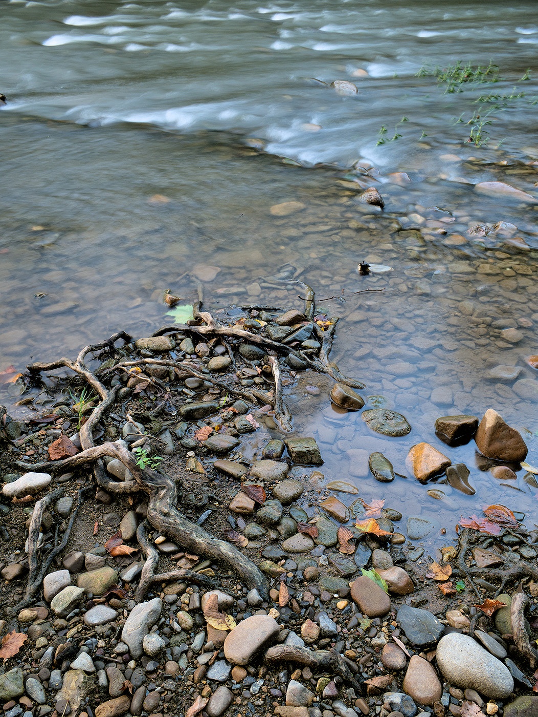 Down by the edge of the Roanoke River, somewhere in Salem, Virginia.