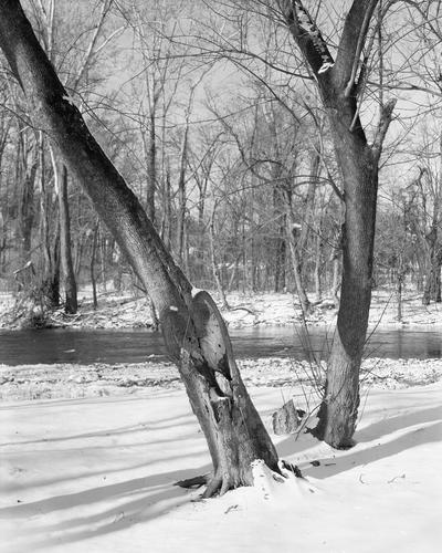 Tree Vee Salem Park, Salem, Virginia.
