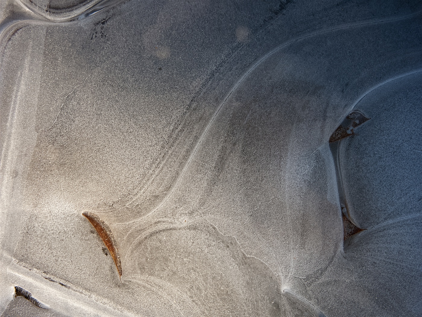 Light vs dark. Warm vs cold. Fall leaves locked in swirls of winter ice, bathed partially in warm sunlight.