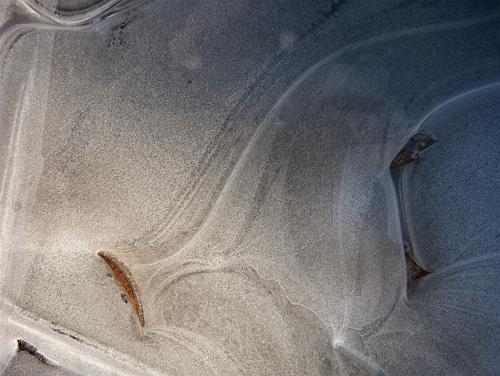 Light vs dark. Warm vs cold. Fall leaves locked in swirls of winter ice, bathed partially in warm sunlight.