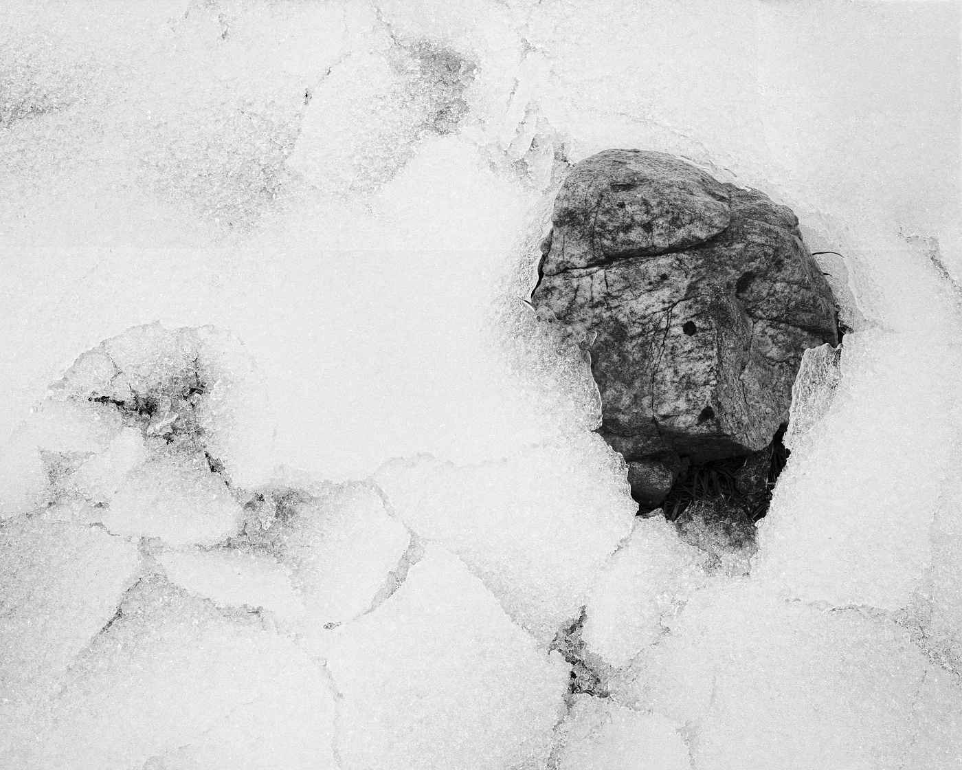 This rock, emerging from the cracked and crusted-over snow which had enveloped it, caught my eye one morning while taking our dogs out for their morning walk. As soon as I was able, I returned with the camera to photograph it.