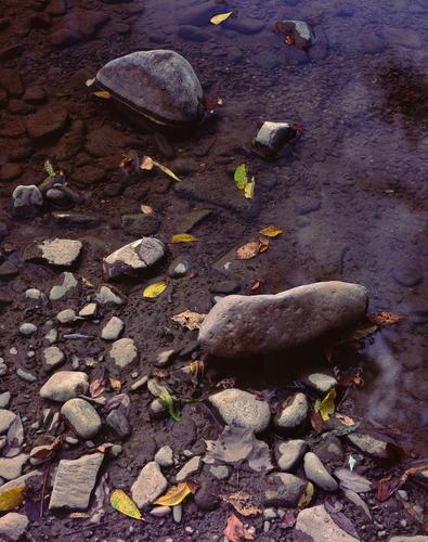 Shoreline Rocks Roanoke River, Salem, Virginia.