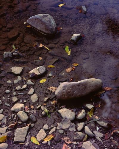 Roanoke River, Salem, Virginia.