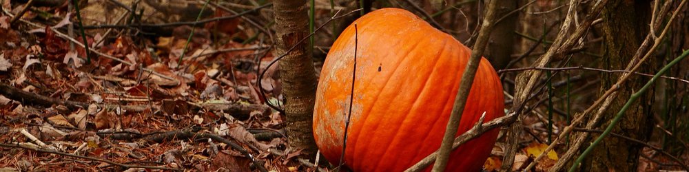 In between big scenes and close-up details.