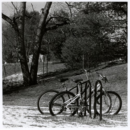 Bike Rack, Winter